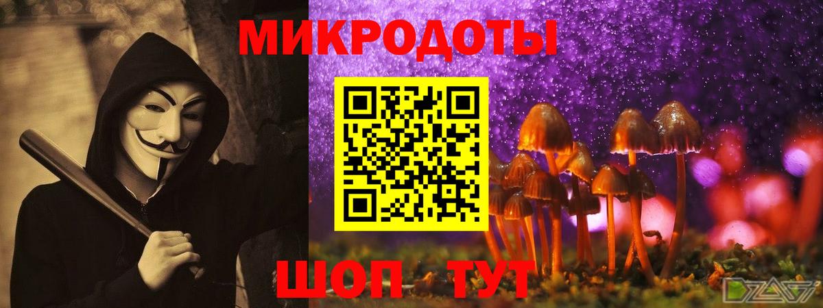 Галлюциногенные грибы прущие грибы Татарск