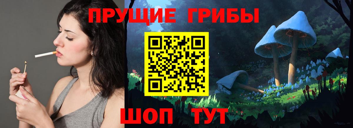 Псилоцибиновые грибы прущие грибы  Вход с VPN  Татарск 